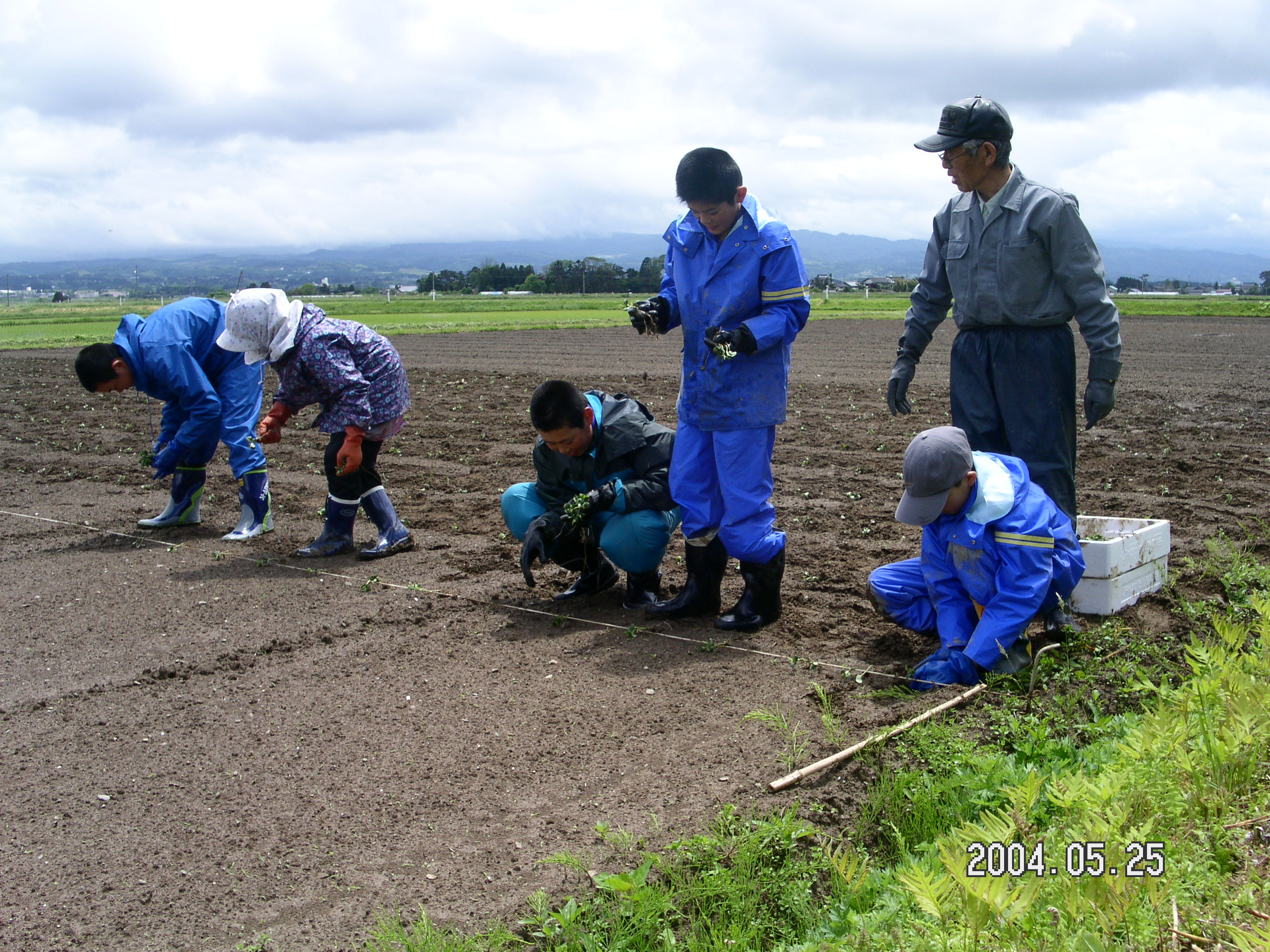 �����P�N�����}���̒�A