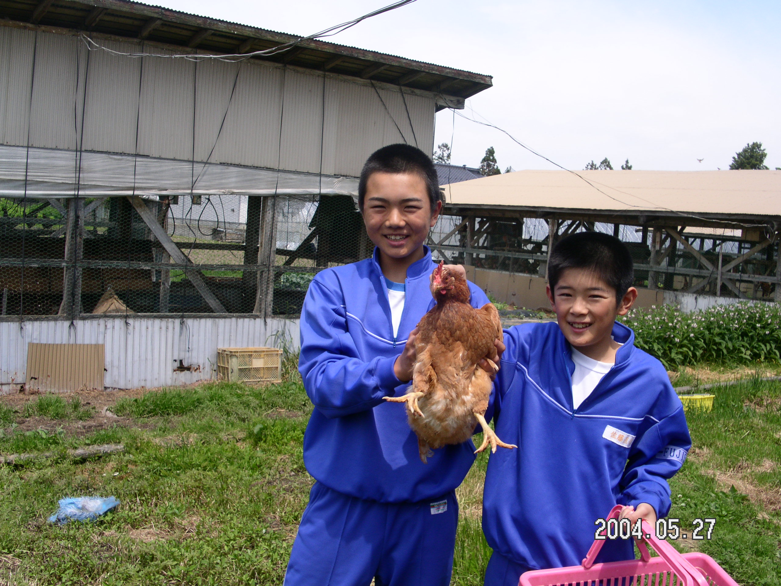 �����P�N�����������̌{�����