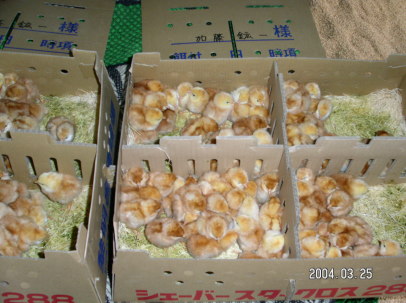 �t�������ɓ����Ă��܂����B