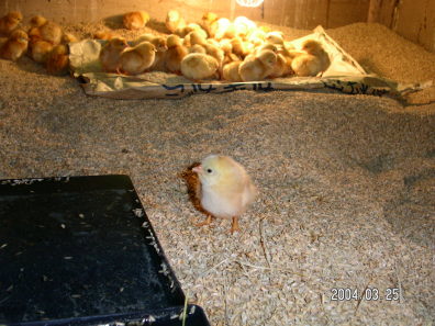 100���̓d���łP�T�ԉ��߂܂�