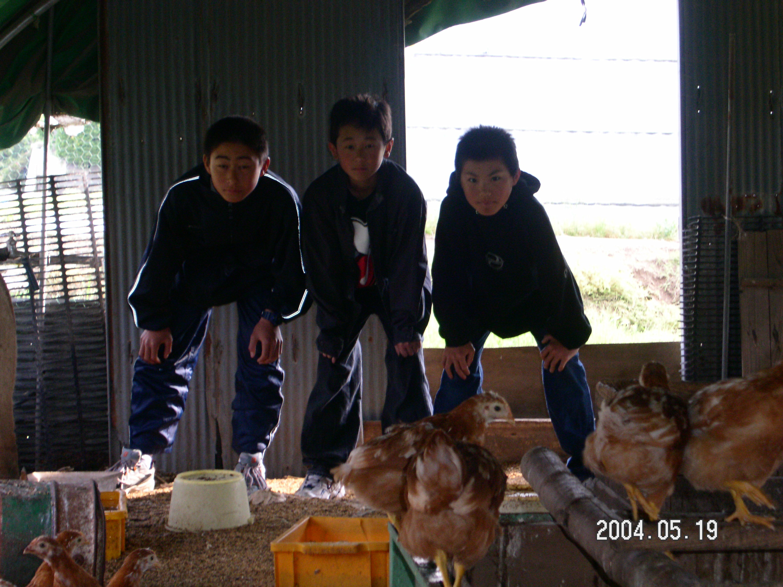 �Ђ悱�Ƌ���