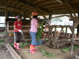 �������k�̔_�Ƒ̌�